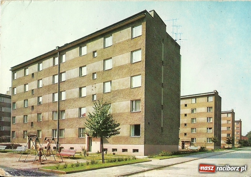 Zdjęcie w galerii na portalu naszraciborz.pl: Hej kudłaty, kup se waty. Kim był słynny Arafat z ulicy Długiej w Raciborzu?  wiadomości z regionu