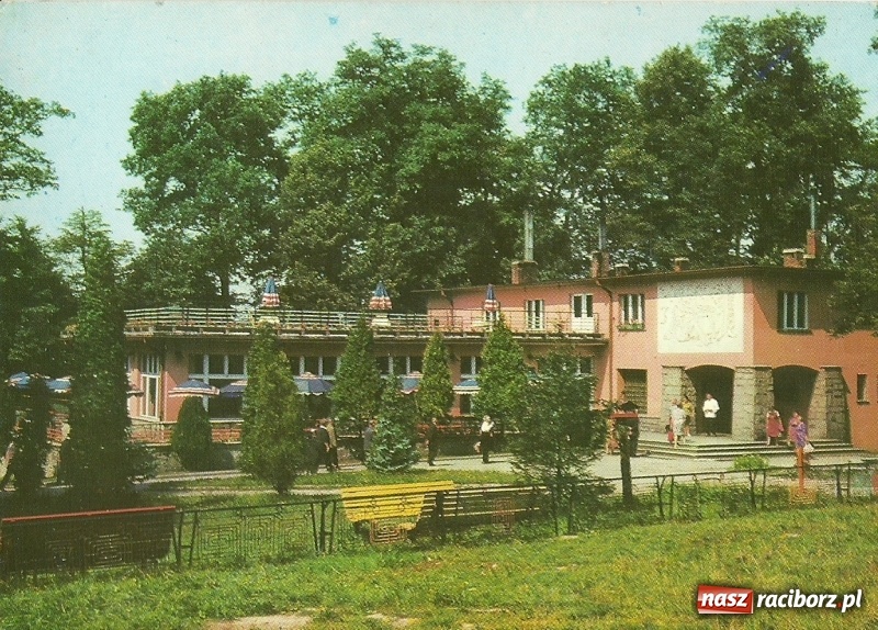 Zdjęcie w galerii na portalu naszraciborz.pl: Hej kudłaty, kup se waty. Kim był słynny Arafat z ulicy Długiej w Raciborzu?  wiadomości z regionu