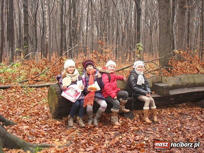Zdjęcie w galerii na portalu naszraciborz.pl: Hobby spełnia marzenia - kolejne ciekawe wydarzenia w Krzanowicach wiadomości z regionu