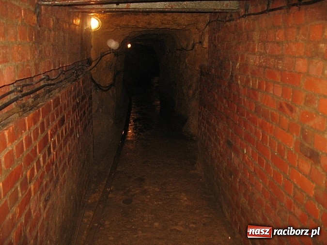 Zdjęcie w galerii na portalu naszraciborz.pl: Hobby spełnia marzenia - kolejne ciekawe wydarzenia w Krzanowicach wiadomości z regionu