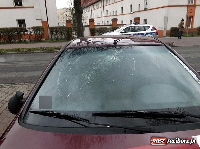 Zdjęcie w galerii na portalu naszraciborz.pl: Wystarczyła chwila nieuwagi wiadomości z regionu