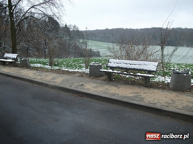 Zdjęcie w galerii na portalu naszraciborz.pl: Leonard skuteczny. Parking jak kort tenisowy wiadomości z regionu