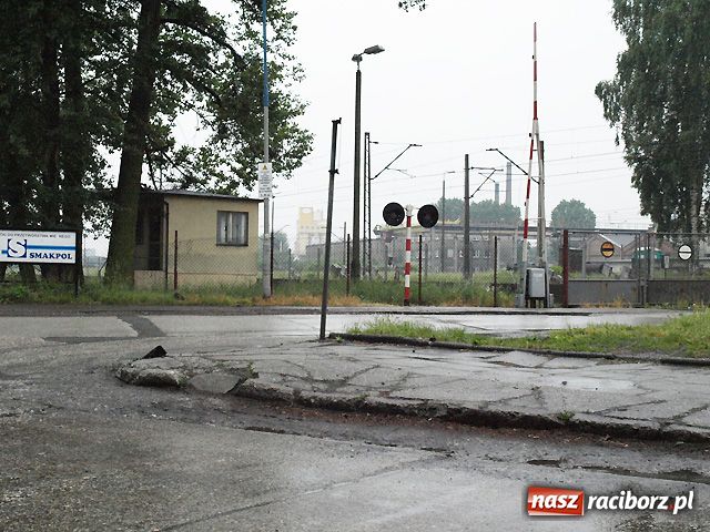 Zdjęcie w galerii na portalu naszraciborz.pl: Zakręt koniecznie do ścięcia wiadomości z regionu