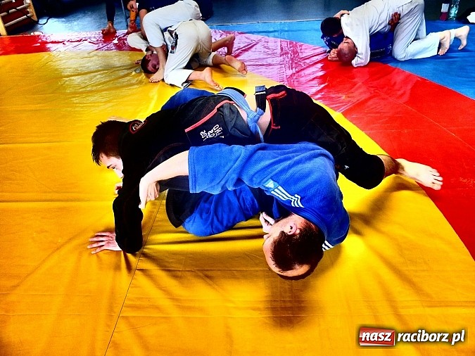 Zdjęcie w galerii na portalu naszraciborz.pl: BJJ ponad podziałami - sparingi w Łamatorze wiadomości z regionu