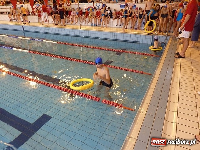 Zdjęcie w galerii na portalu naszraciborz.pl: Pływackie Mikołajki na pływalni PWSZ wiadomości z regionu