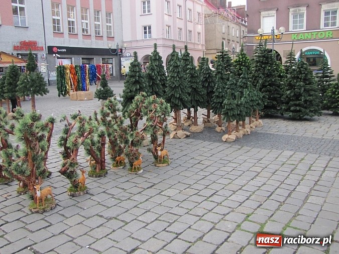 Zdjęcie w galerii na portalu naszraciborz.pl: Rozkręca się świąteczny jarmark na rynku wiadomości z regionu