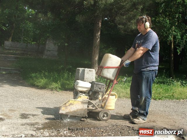 Zdjęcie w galerii na portalu naszraciborz.pl: Zakwitło tysiąc hortensji, ale łabędzi brak wiadomości z regionu