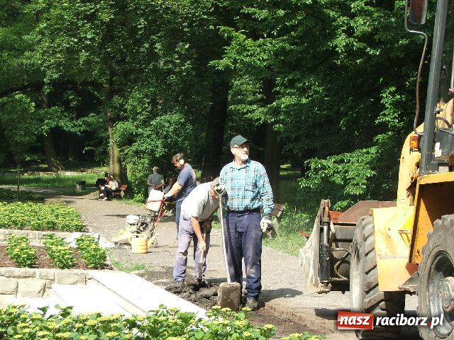 Zdjęcie w galerii na portalu naszraciborz.pl: Zakwitło tysiąc hortensji, ale łabędzi brak wiadomości z regionu