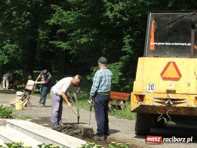 Zdjęcie w galerii na portalu naszraciborz.pl: Zakwitło tysiąc hortensji, ale łabędzi brak wiadomości z regionu