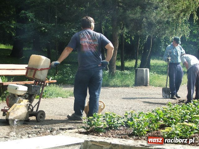 Zdjęcie w galerii na portalu naszraciborz.pl: Zakwitło tysiąc hortensji, ale łabędzi brak wiadomości z regionu