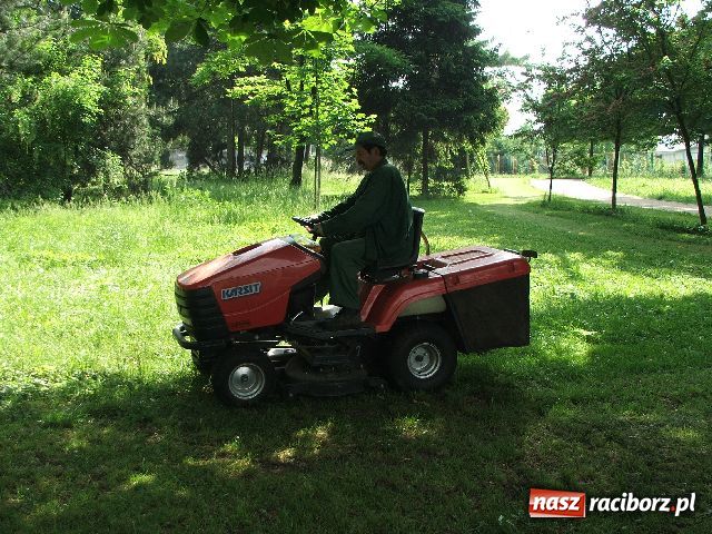 Zdjęcie w galerii na portalu naszraciborz.pl: Zakwitło tysiąc hortensji, ale łabędzi brak wiadomości z regionu