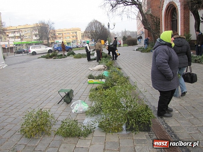 Zdjęcie w galerii na portalu naszraciborz.pl: Na raciborskim rynku stanął namiot sferyczny... wiadomości z regionu