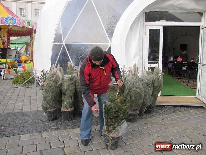 Zdjęcie w galerii na portalu naszraciborz.pl: Na raciborskim rynku stanął namiot sferyczny... wiadomości z regionu