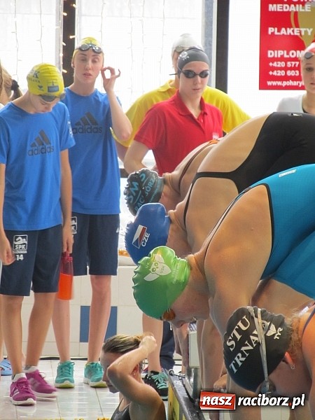Zdjęcie w galerii na portalu naszraciborz.pl: Raciborscy pływacy startowali w Czechach wiadomości z regionu