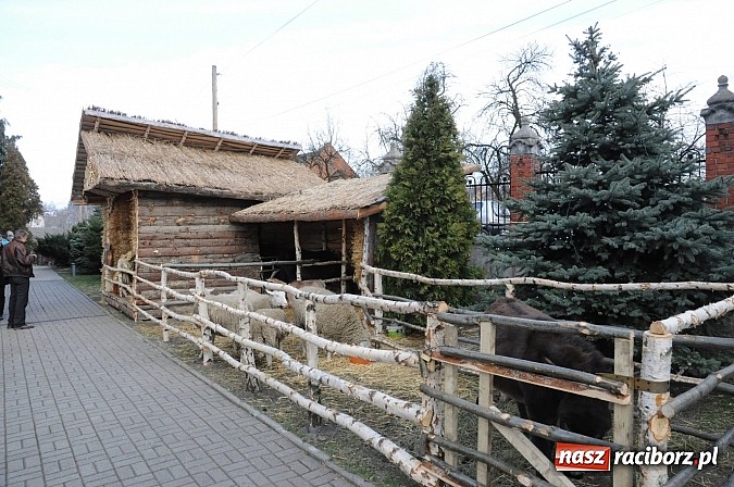 Zdjęcie w galerii na portalu naszraciborz.pl: W Brzeziu można adorować przy żywej szopce wiadomości z regionu