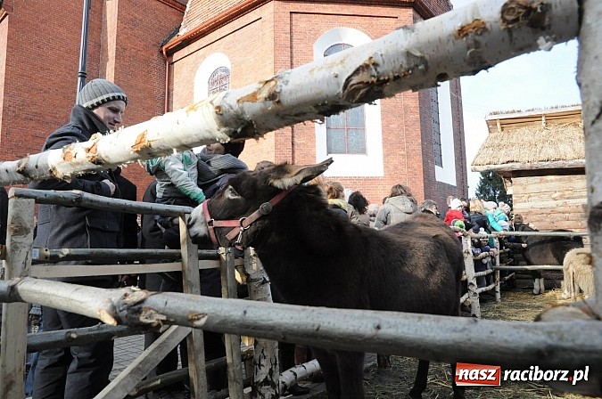 Zdjęcie w galerii na portalu naszraciborz.pl: W Brzeziu można adorować przy żywej szopce wiadomości z regionu