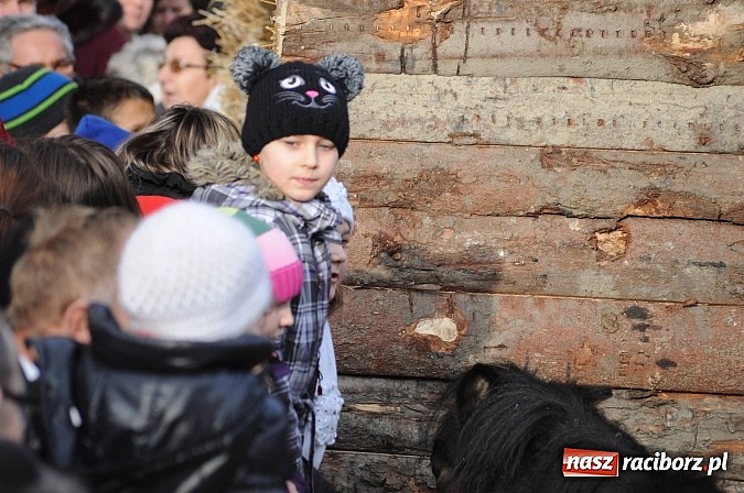 Zdjęcie w galerii na portalu naszraciborz.pl: W Brzeziu można adorować przy żywej szopce wiadomości z regionu