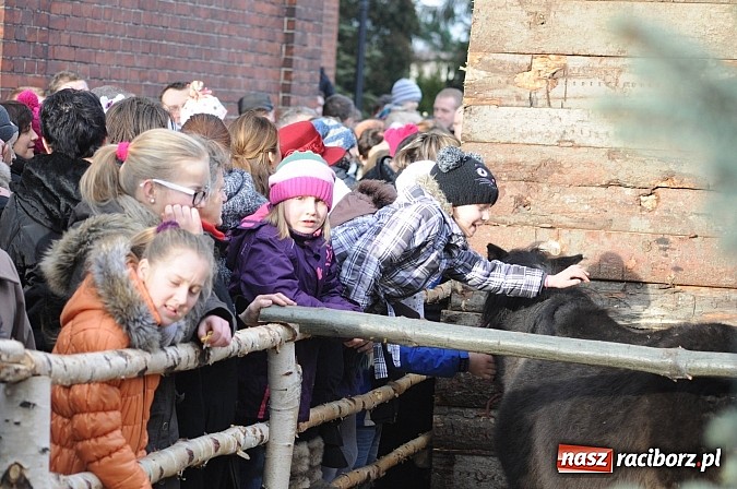 Zdjęcie w galerii na portalu naszraciborz.pl: W Brzeziu można adorować przy żywej szopce wiadomości z regionu