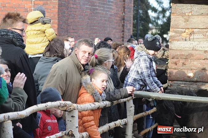 Zdjęcie w galerii na portalu naszraciborz.pl: W Brzeziu można adorować przy żywej szopce wiadomości z regionu