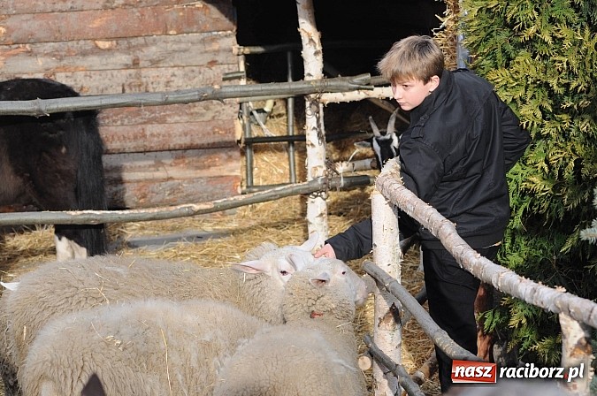 Zdjęcie w galerii na portalu naszraciborz.pl: W Brzeziu można adorować przy żywej szopce wiadomości z regionu