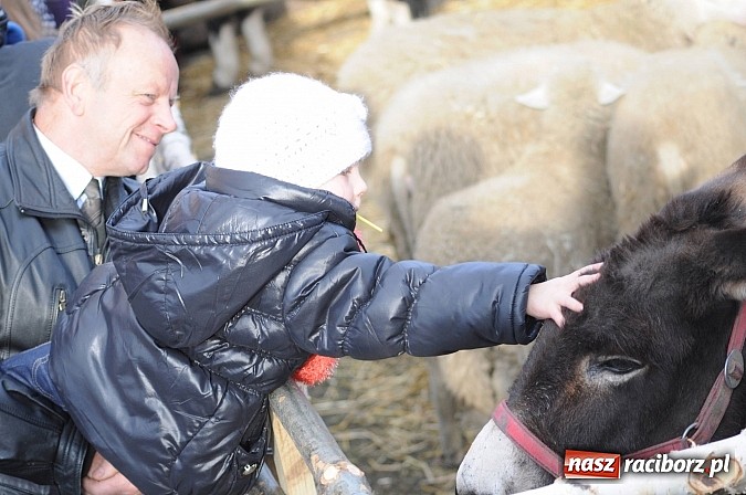 Zdjęcie w galerii na portalu naszraciborz.pl: W Brzeziu można adorować przy żywej szopce wiadomości z regionu