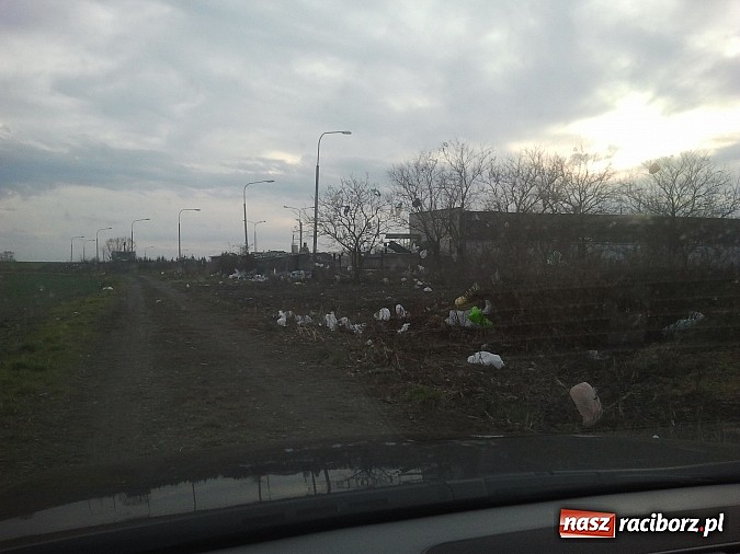 Zdjęcie w galerii na portalu naszraciborz.pl: Takie obrazki zastali raciborzanie w święta wiadomości z regionu
