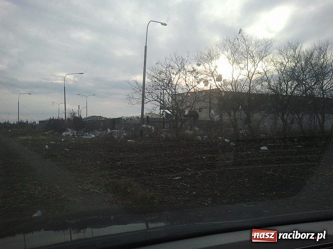 Zdjęcie w galerii na portalu naszraciborz.pl: Takie obrazki zastali raciborzanie w święta wiadomości z regionu