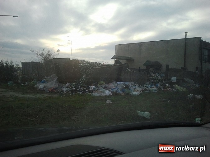 Zdjęcie w galerii na portalu naszraciborz.pl: Takie obrazki zastali raciborzanie w święta wiadomości z regionu