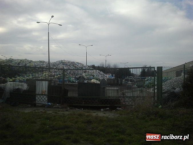 Zdjęcie w galerii na portalu naszraciborz.pl: Takie obrazki zastali raciborzanie w święta wiadomości z regionu