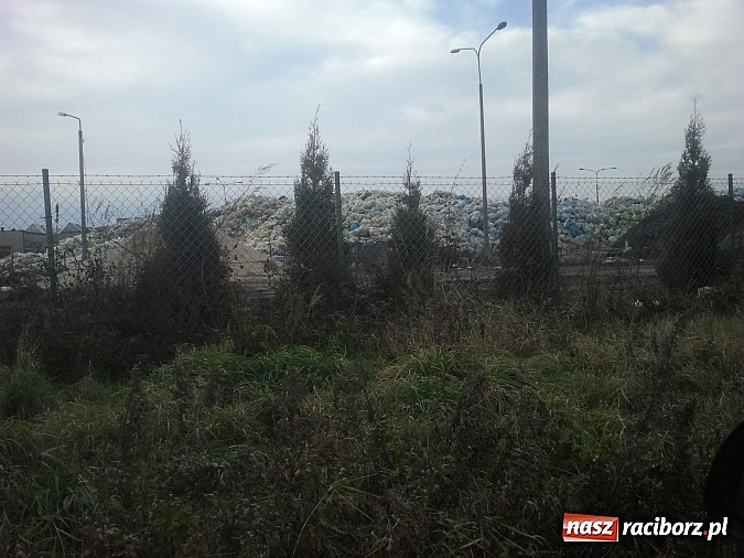 Zdjęcie w galerii na portalu naszraciborz.pl: Takie obrazki zastali raciborzanie w święta wiadomości z regionu