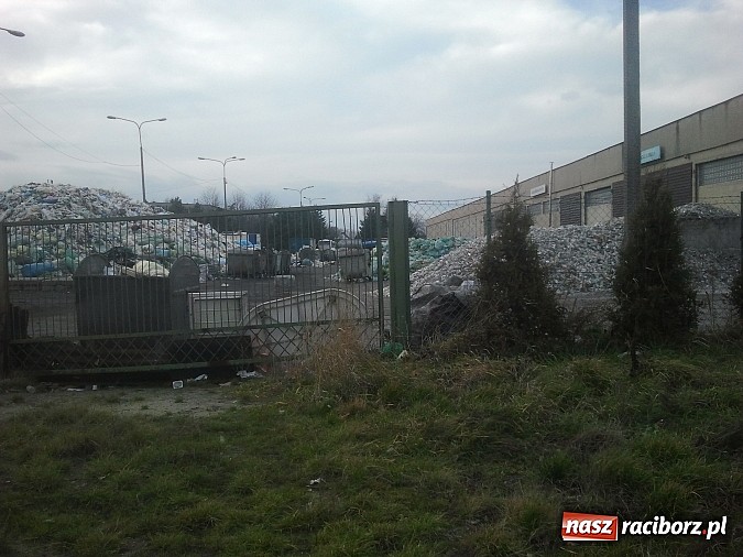 Zdjęcie w galerii na portalu naszraciborz.pl: Takie obrazki zastali raciborzanie w święta wiadomości z regionu