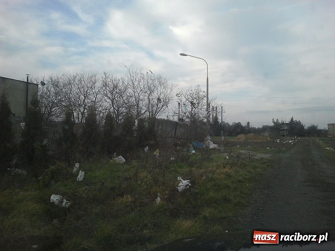 Zdjęcie w galerii na portalu naszraciborz.pl: Takie obrazki zastali raciborzanie w święta wiadomości z regionu