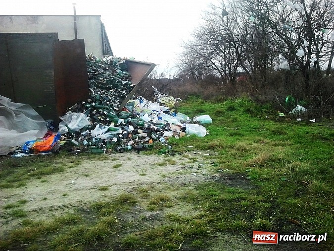 Zdjęcie w galerii na portalu naszraciborz.pl: Takie obrazki zastali raciborzanie w święta wiadomości z regionu