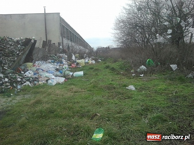 Zdjęcie w galerii na portalu naszraciborz.pl: Takie obrazki zastali raciborzanie w święta wiadomości z regionu