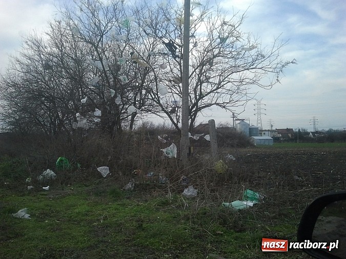 Zdjęcie w galerii na portalu naszraciborz.pl: Takie obrazki zastali raciborzanie w święta wiadomości z regionu