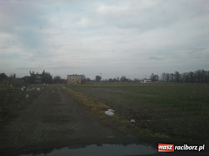 Zdjęcie w galerii na portalu naszraciborz.pl: Takie obrazki zastali raciborzanie w święta wiadomości z regionu