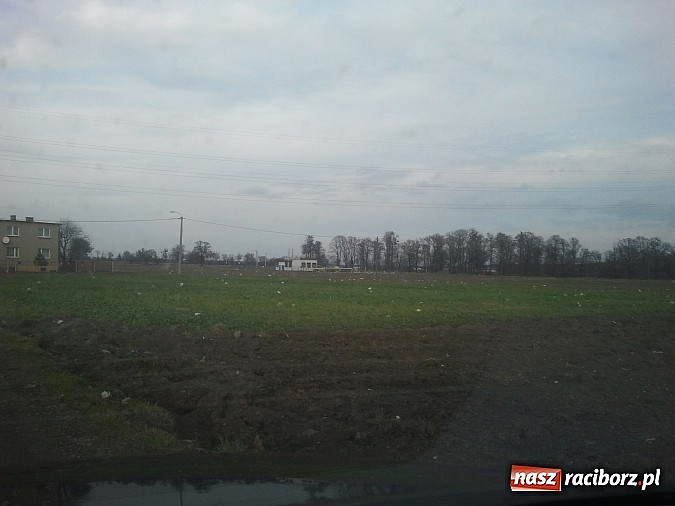 Zdjęcie w galerii na portalu naszraciborz.pl: Takie obrazki zastali raciborzanie w święta wiadomości z regionu