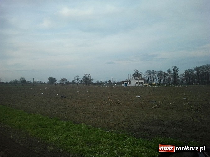 Zdjęcie w galerii na portalu naszraciborz.pl: Takie obrazki zastali raciborzanie w święta wiadomości z regionu