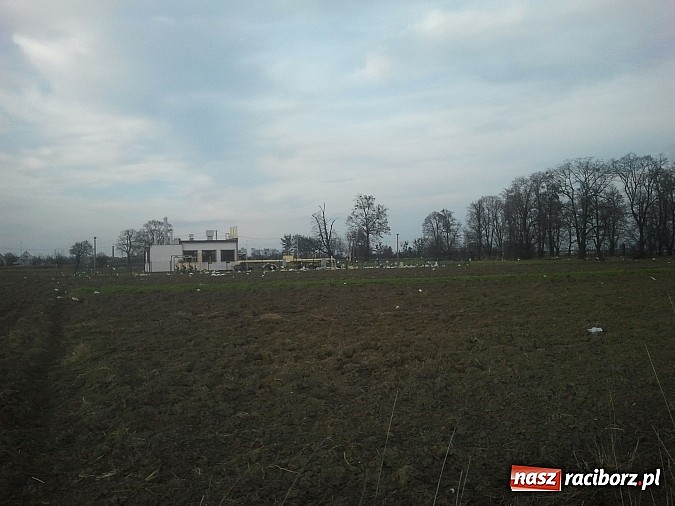 Zdjęcie w galerii na portalu naszraciborz.pl: Takie obrazki zastali raciborzanie w święta wiadomości z regionu