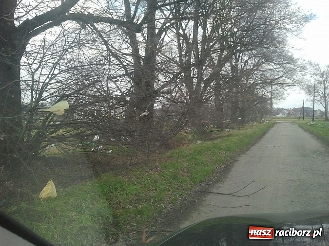 Zdjęcie w galerii na portalu naszraciborz.pl: Takie obrazki zastali raciborzanie w święta wiadomości z regionu