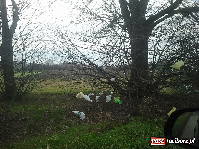 Zdjęcie w galerii na portalu naszraciborz.pl: Takie obrazki zastali raciborzanie w święta wiadomości z regionu