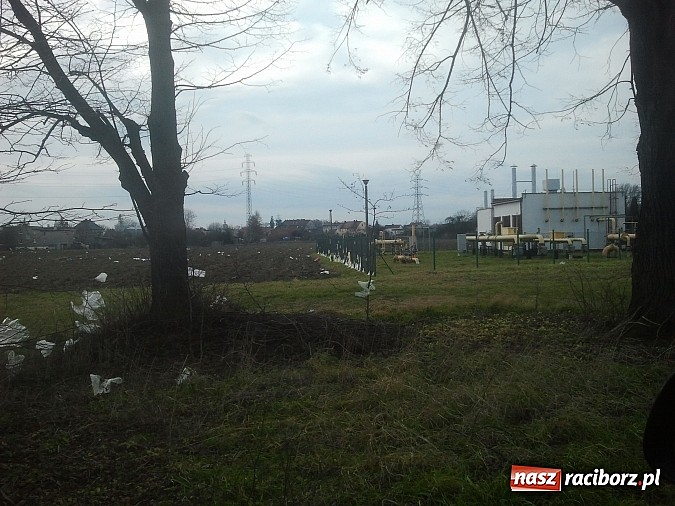 Zdjęcie w galerii na portalu naszraciborz.pl: Takie obrazki zastali raciborzanie w święta wiadomości z regionu