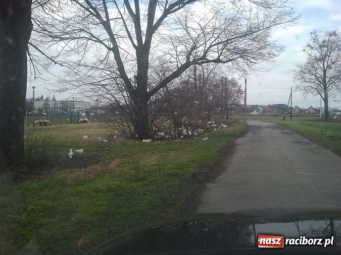 Zdjęcie w galerii na portalu naszraciborz.pl: Takie obrazki zastali raciborzanie w święta wiadomości z regionu