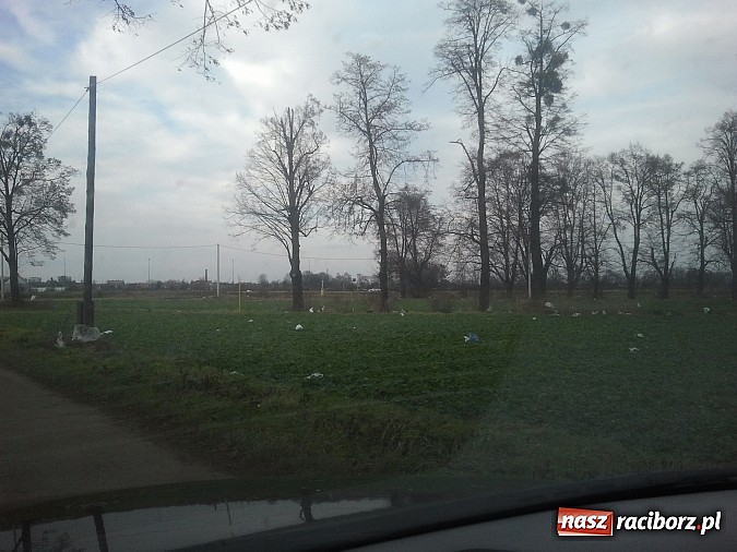 Zdjęcie w galerii na portalu naszraciborz.pl: Takie obrazki zastali raciborzanie w święta wiadomości z regionu