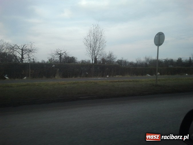 Zdjęcie w galerii na portalu naszraciborz.pl: Takie obrazki zastali raciborzanie w święta wiadomości z regionu