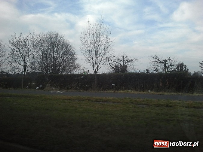 Zdjęcie w galerii na portalu naszraciborz.pl: Takie obrazki zastali raciborzanie w święta wiadomości z regionu