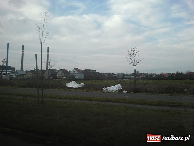 Zdjęcie w galerii na portalu naszraciborz.pl: Takie obrazki zastali raciborzanie w święta wiadomości z regionu