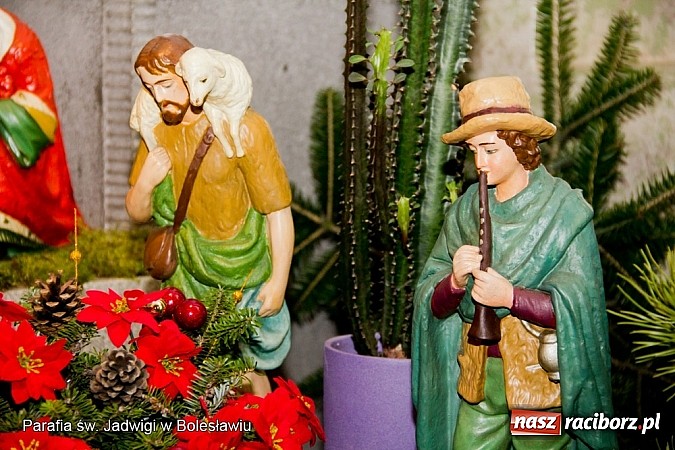 Zdjęcie w galerii na portalu naszraciborz.pl: Najpiękniejsze szopki bożonarodzeniowe w powiecie raciborskim wiadomości z regionu