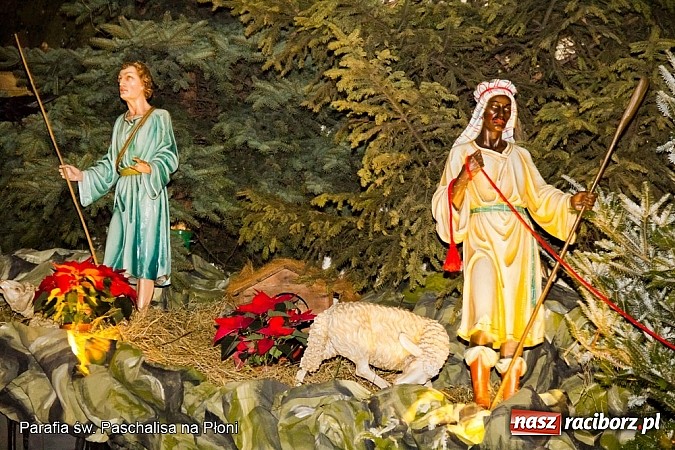 Zdjęcie w galerii na portalu naszraciborz.pl: Najpiękniejsze szopki bożonarodzeniowe w powiecie raciborskim wiadomości z regionu