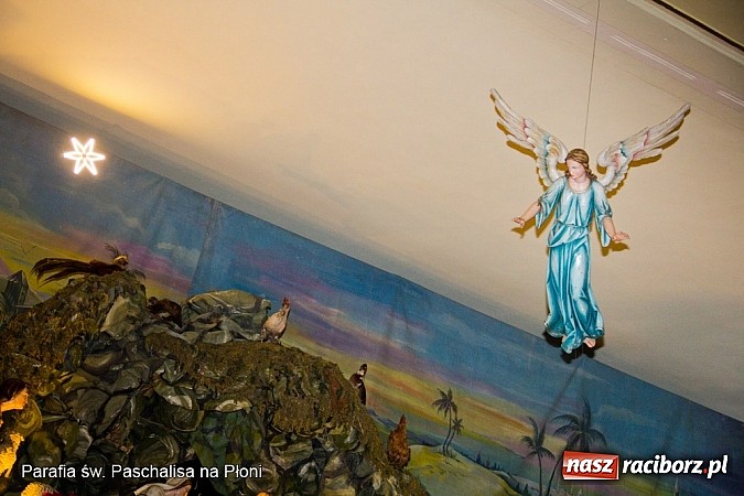 Zdjęcie w galerii na portalu naszraciborz.pl: Najpiękniejsze szopki bożonarodzeniowe w powiecie raciborskim wiadomości z regionu